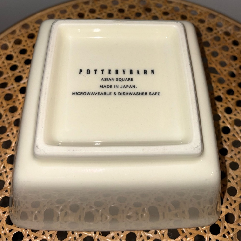 Pottery Barn Asian Square Noodle Bowl 🍜